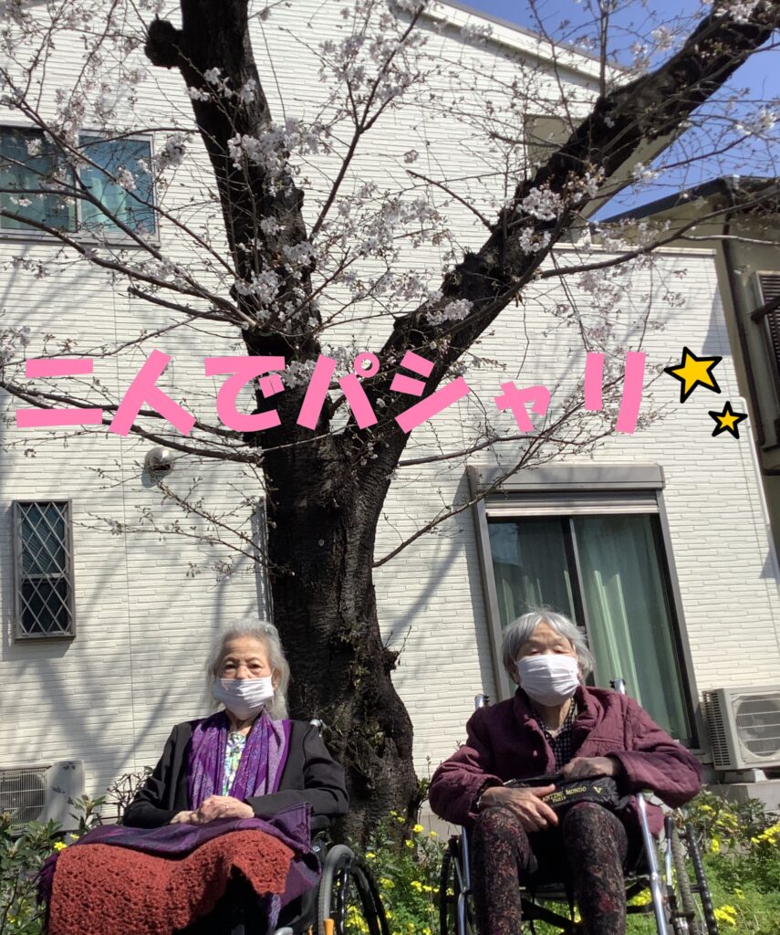 現在の画像に代替テキストがありません。ファイル名: IMG_27244.jpg