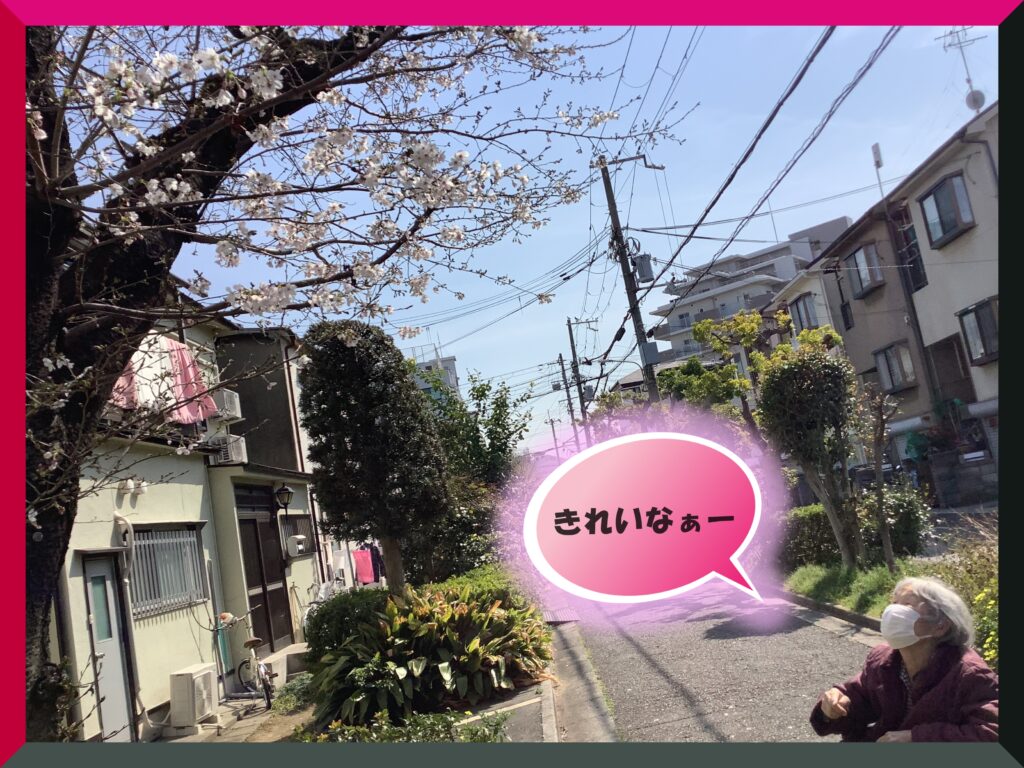 現在の画像に代替テキストがありません。ファイル名: IMG_2726-scaled.jpg