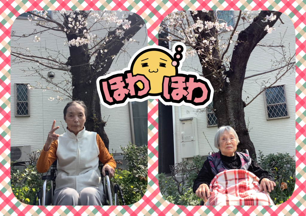 現在の画像に代替テキストがありません。ファイル名: collage6-scaled.png