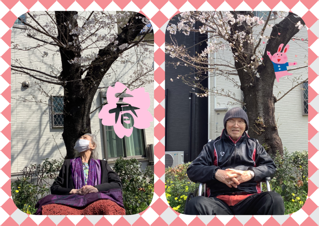 現在の画像に代替テキストがありません。ファイル名: collage8-scaled.png